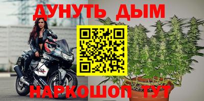 гидра Тверь