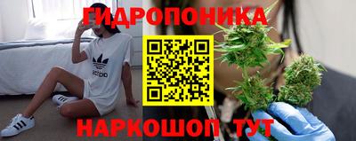 гидра Туймазы