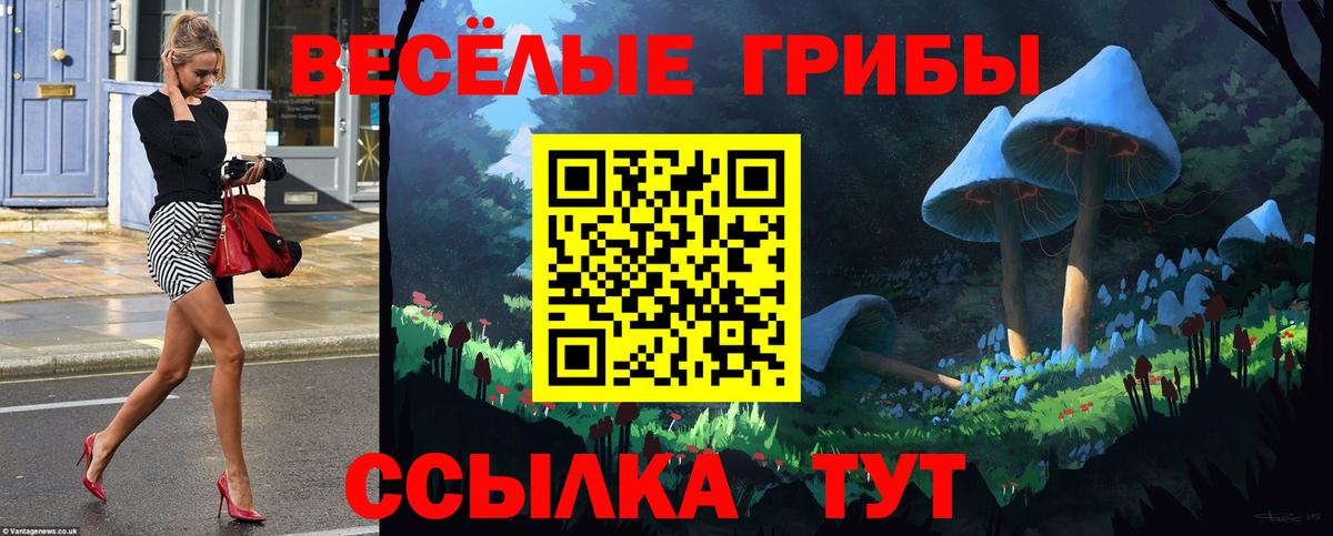 Псилоцибиновые грибы мицелий  цены наркотик  Вход с VPN  Нижний Новгород  Псилоцибиновые грибы мухоморы 