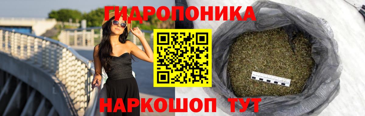 Бошки марихуана планчик  Конопля сатива  Бошки Шишки ГИДРОПОН  Вход с VPN  Нижний Новгород  Конопля ГИДРОПОН 